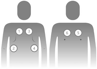 Real-World Verification of Artificial Intelligence Algorithm-Assisted Auscultation of Breath Sounds in Children